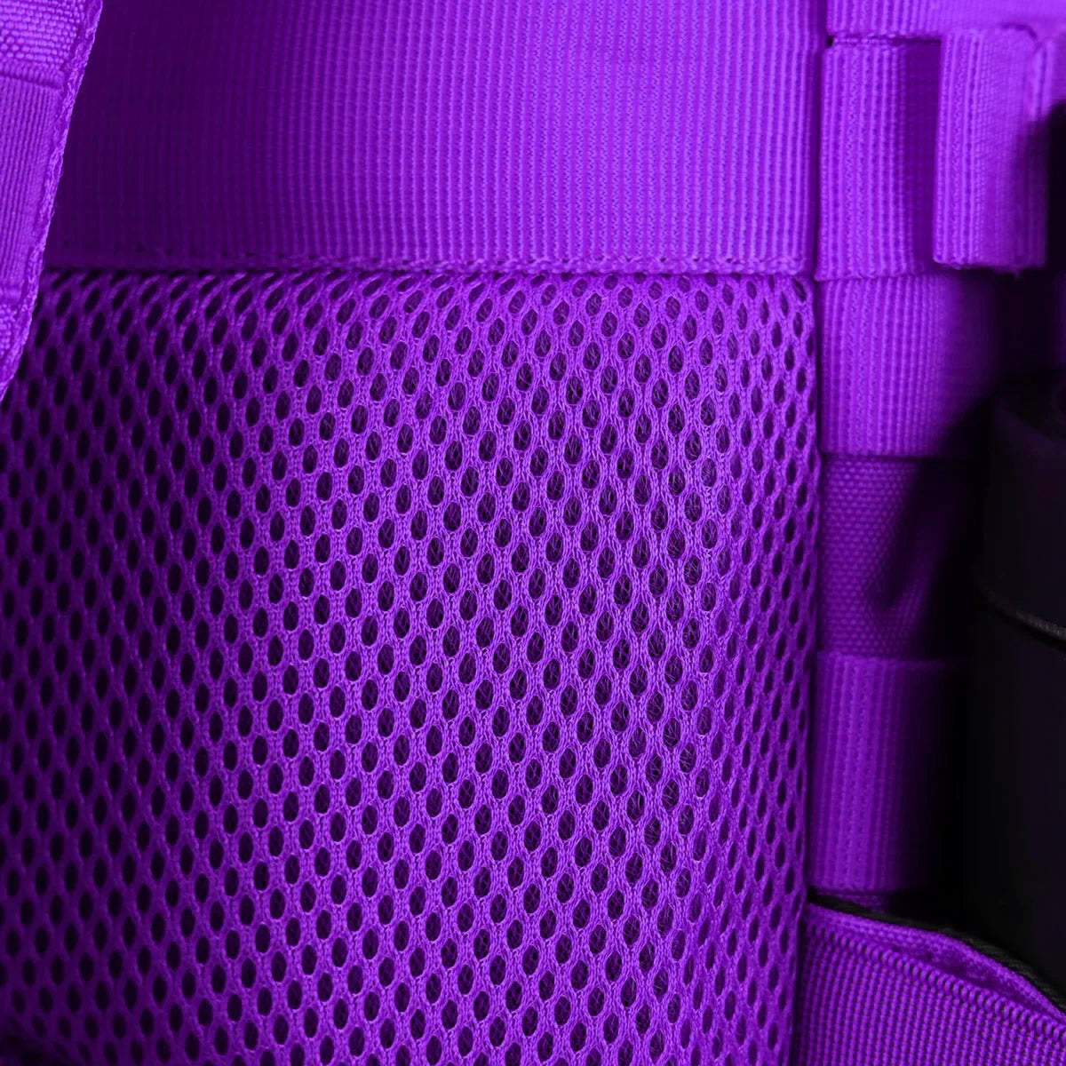 Gympack Pro 50L Roxa